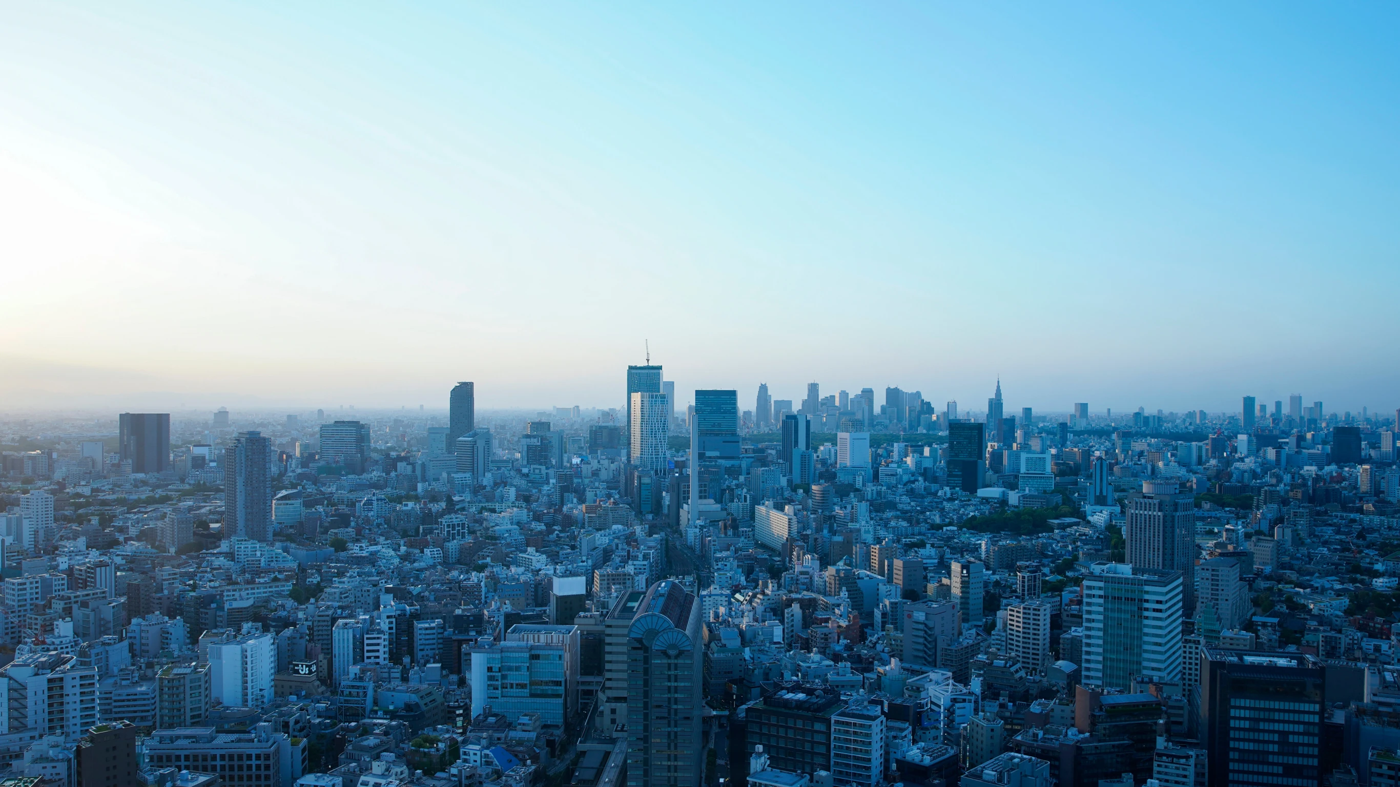 ブルーモーニングフィナンシャル株式会社